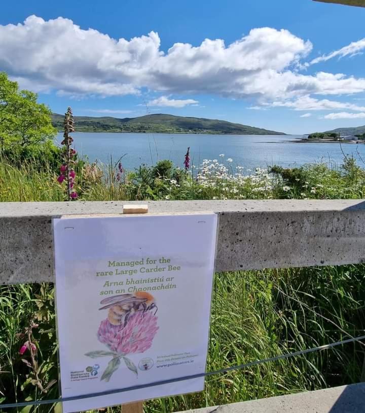 キャッスルタウンベアEscape To The Beara Peninsula.アパートメント エクステリア 写真